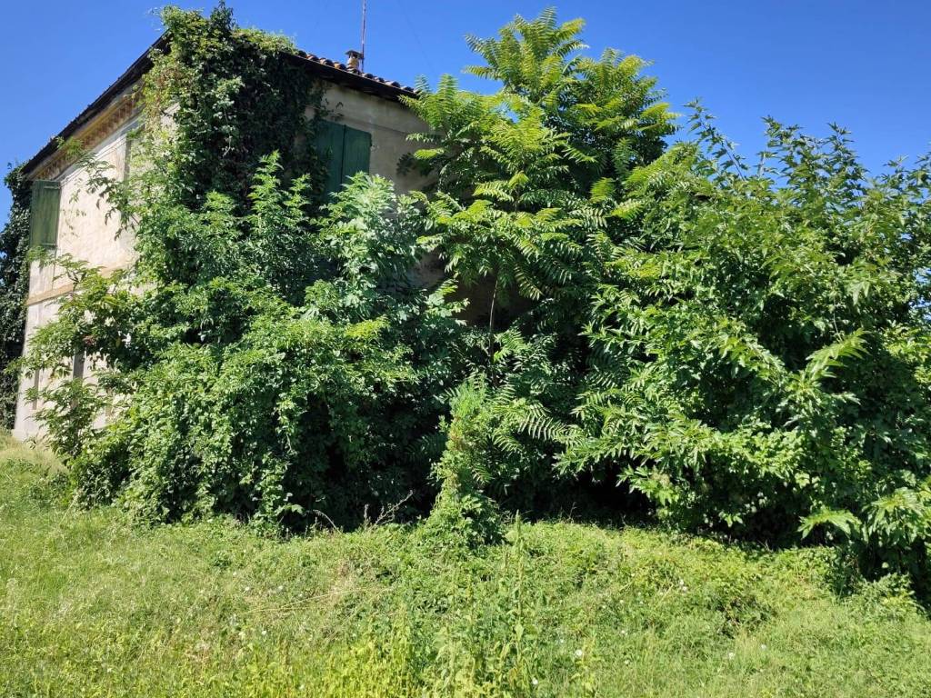 Rustico / casale a Castel bolognese in Via Emilia Ponente, 1483 - Foto 3