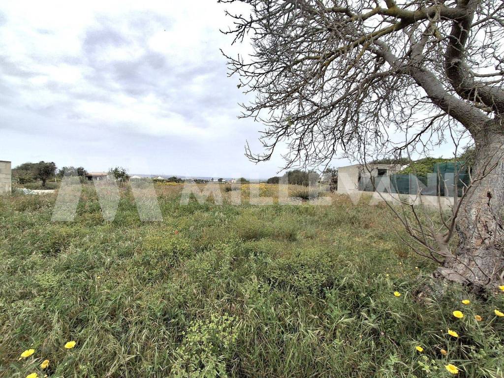 Terreno a Ispica in Via dell'Acero - Foto 2