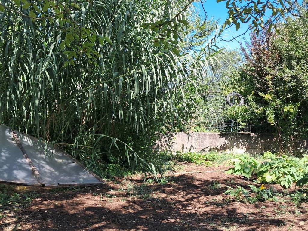Terreno a Frosinone in Via Armando Fabi - Foto 2