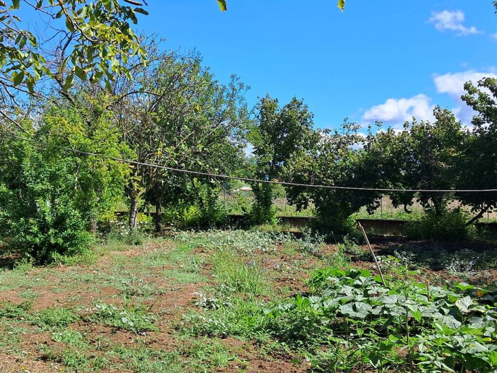 Terreno a Frosinone in Via Armando Fabi - Foto 3