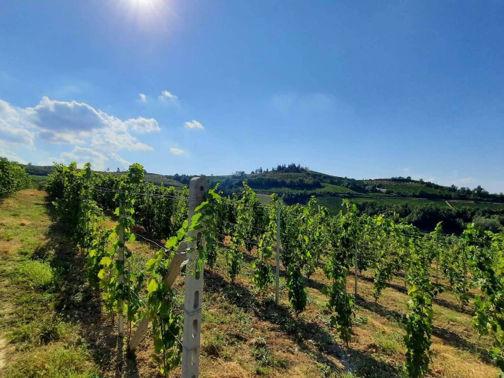 Rustico / casale a Mango - Foto 4