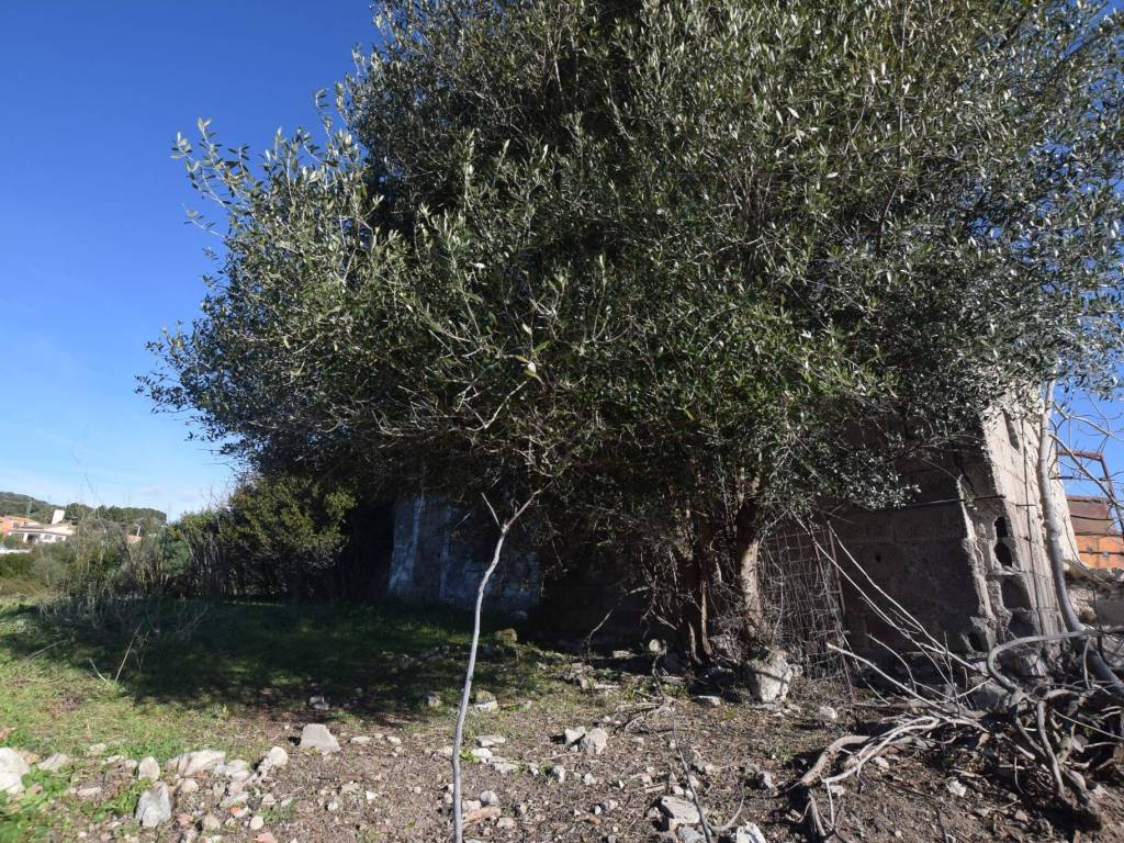 Rustico / casale a Laerru in Via Sassari, 82 - Foto 4