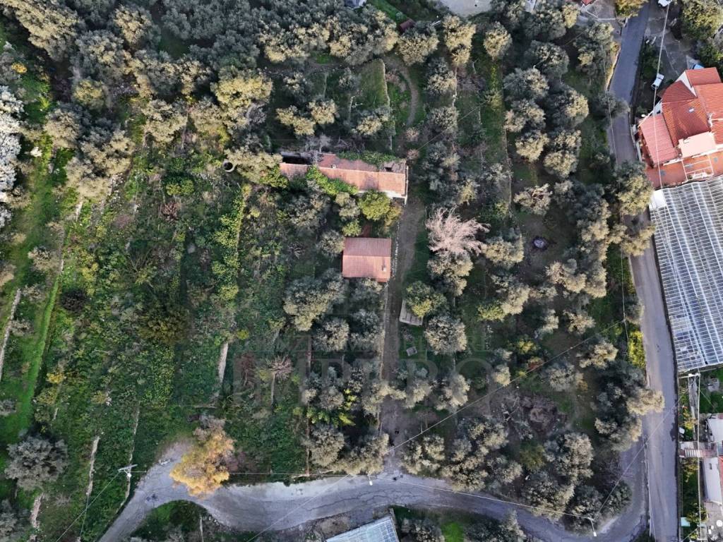 Terreno a Bordighera in Via Gallina - Foto 2