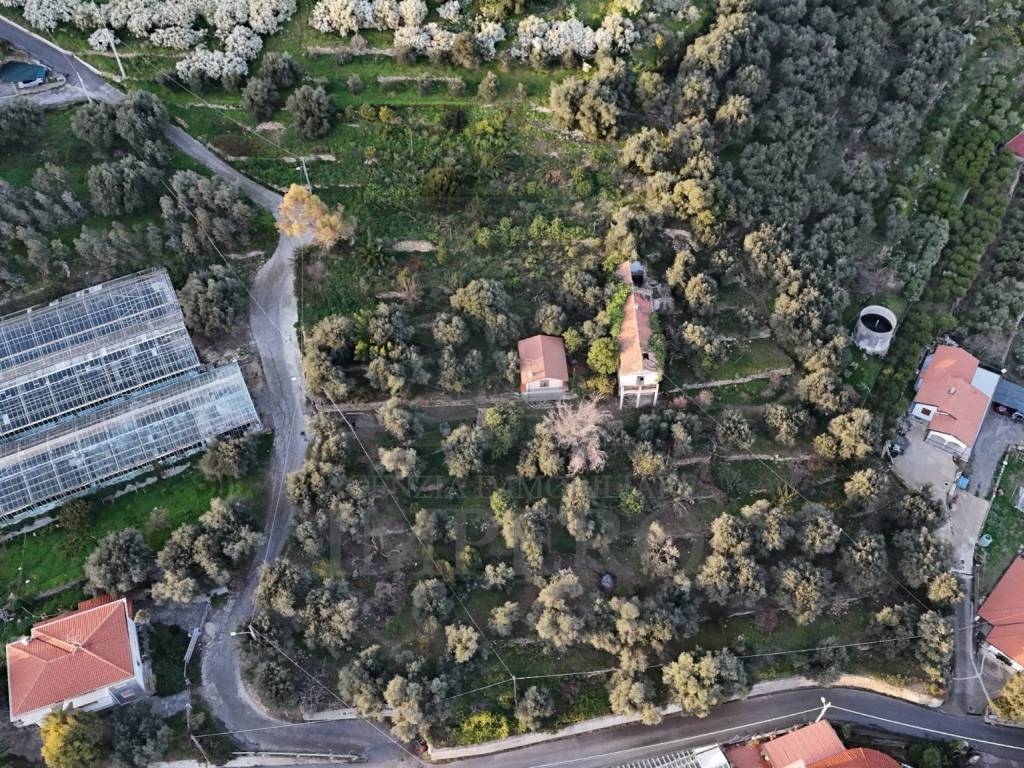 Terreno a Bordighera in Via Gallina - Foto 3