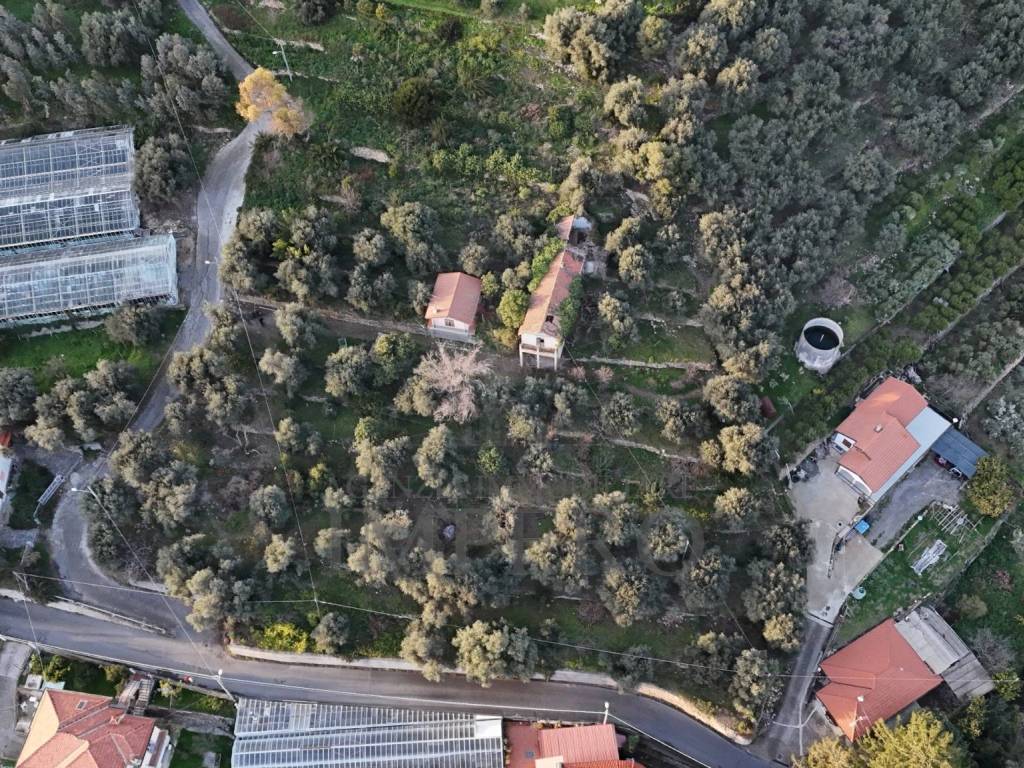 Terreno a Bordighera in Via Gallina - Foto 4