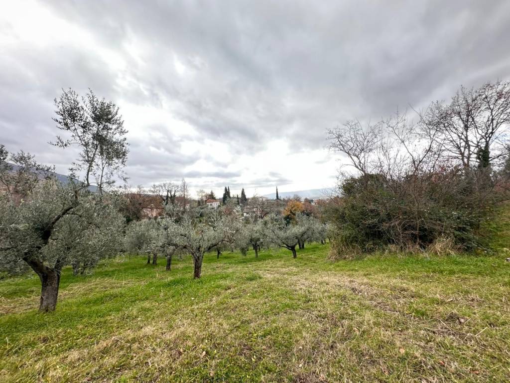 Terreno a Assisi in Via Assisana - Foto 2