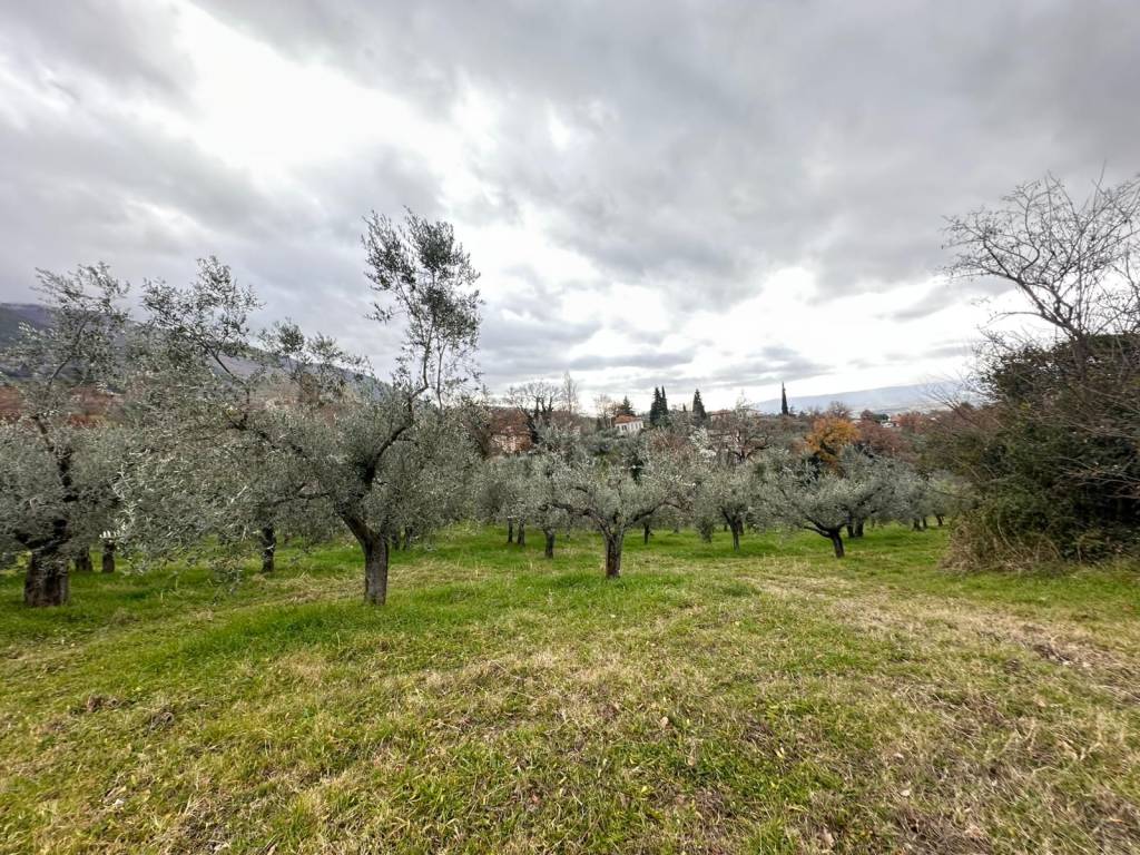 Terreno a Assisi in Via Assisana - Foto 3