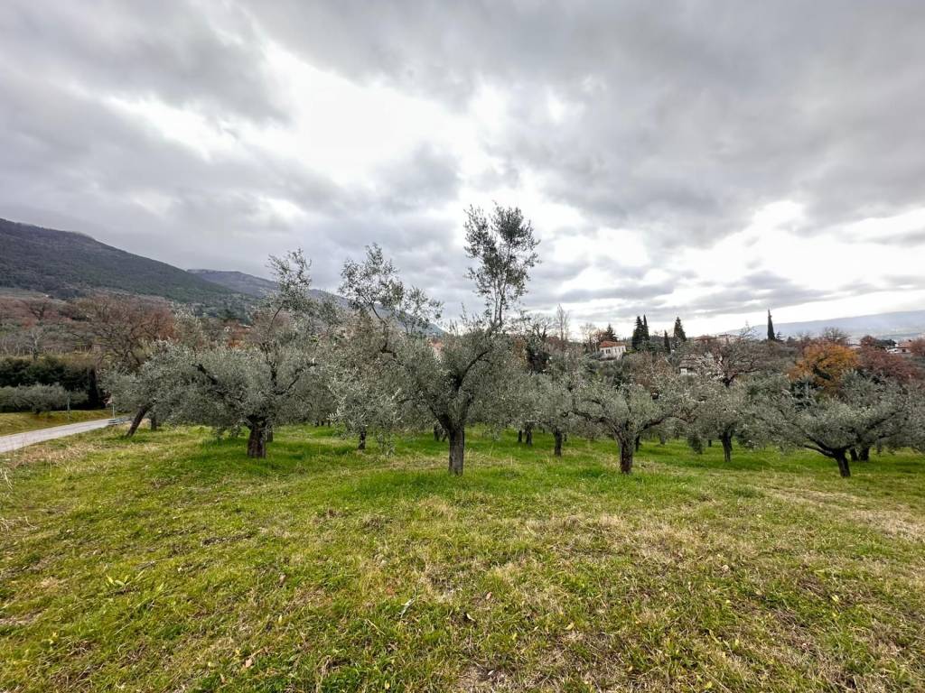 Terreno a Assisi in Via Assisana - Foto 4
