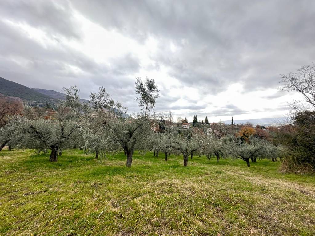Terreno a Assisi in Via Assisana - Foto 5