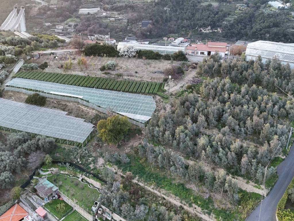 Terreno a Bordighera in Via Gallina - Foto 2