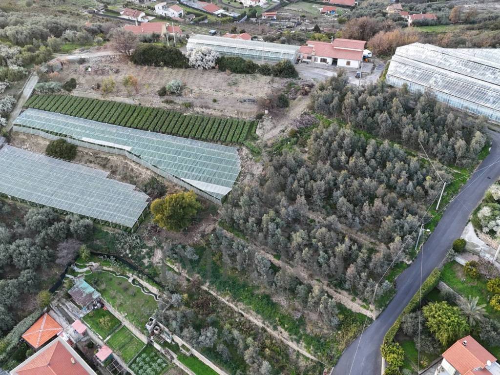 Terreno a Bordighera in Via Gallina - Foto 3