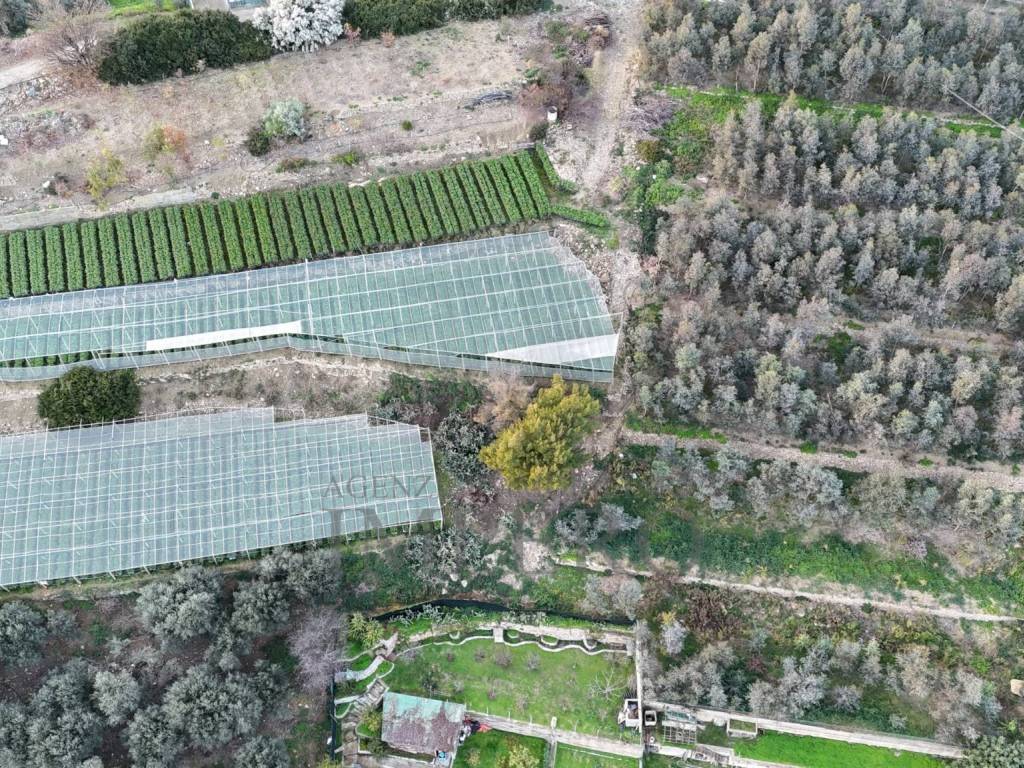 Terreno a Bordighera in Via Gallina - Foto 5