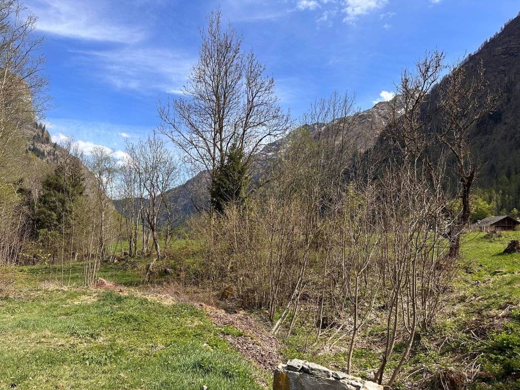 Terreno a Alagna valsesia in Villaggio Le Betulle - Foto 2
