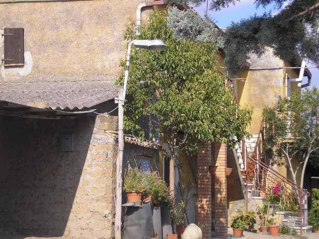 Rustico / casale a Orvieto in Località Podere Fascinaro - Foto 2