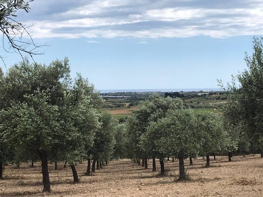 Terreno a Noto in , - Foto 2