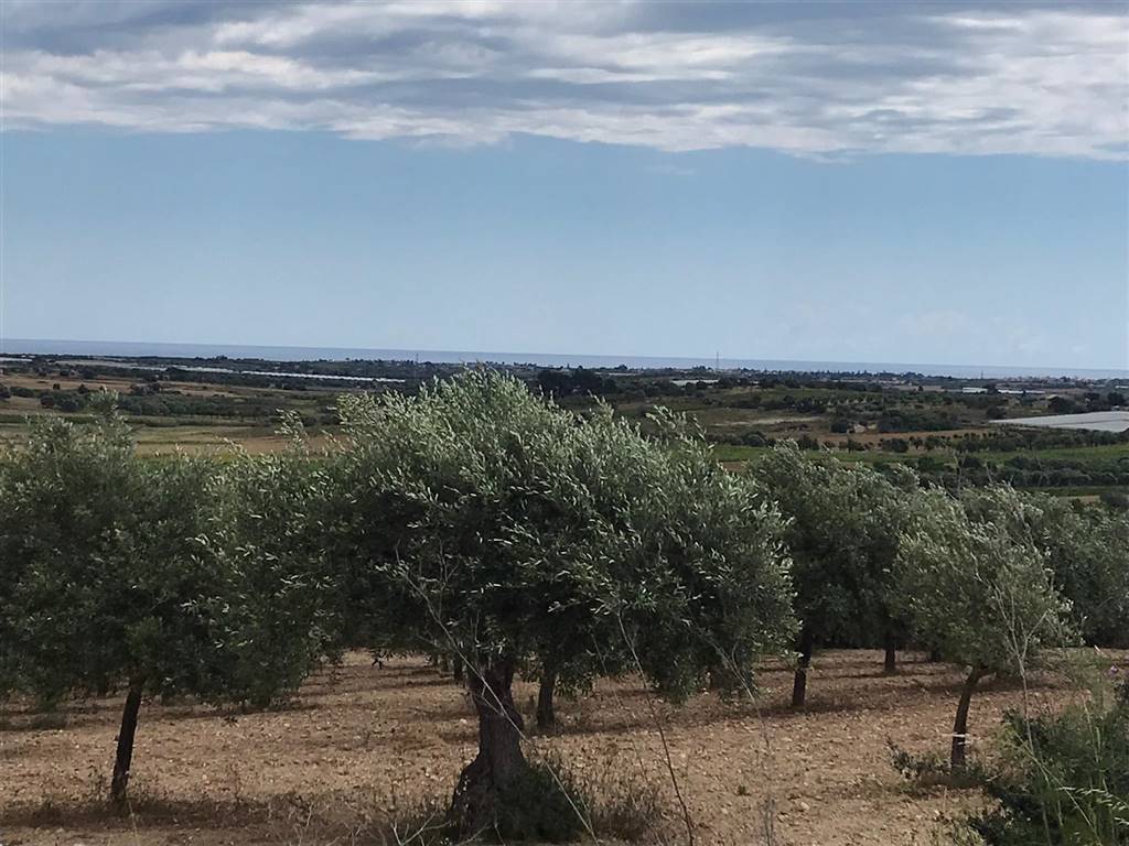 Terreno a Noto in , - Foto 3