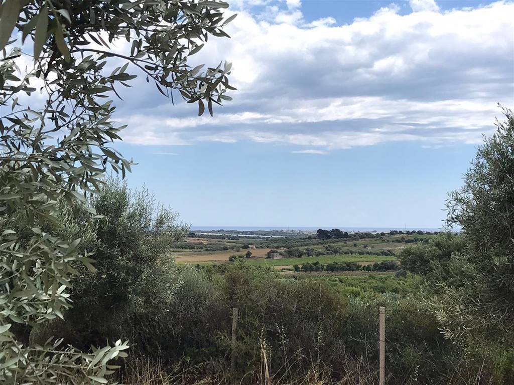 Terreno a Noto in , - Foto 5