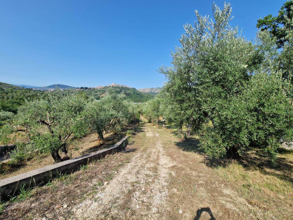 Terreno a Castel madama - Foto 2