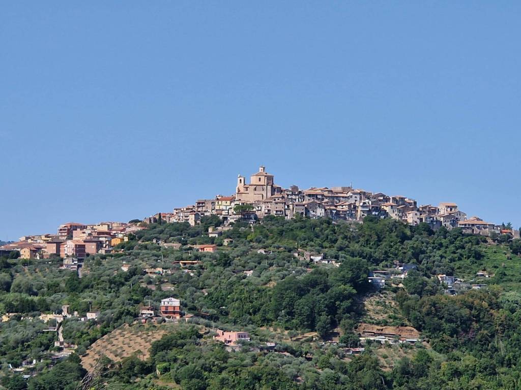 Terreno a Castel madama - Foto 3