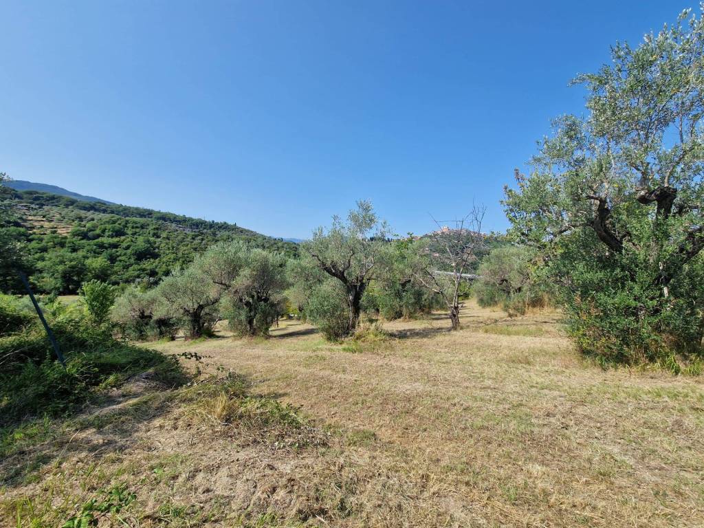 Terreno a Castel madama - Foto 4