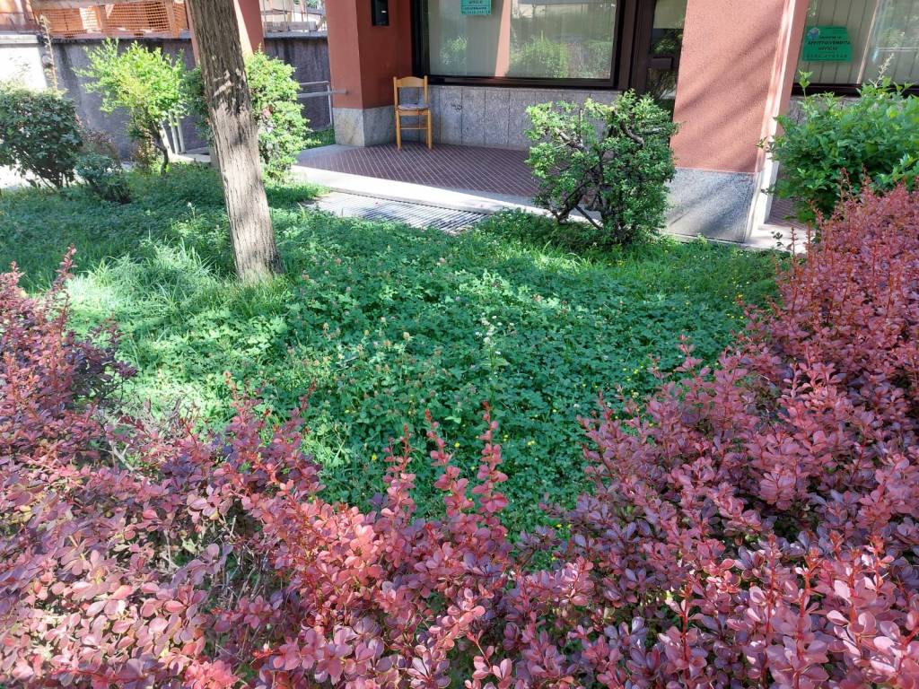 Immobile a Sondrio - Foto 2