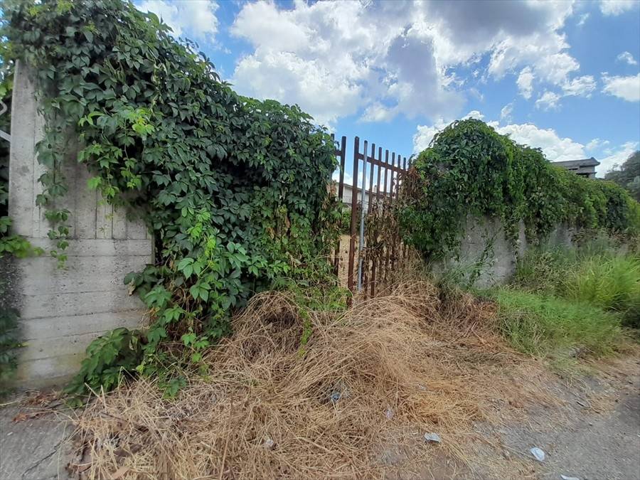 Terreno a Taurianova in via canova - Foto 2