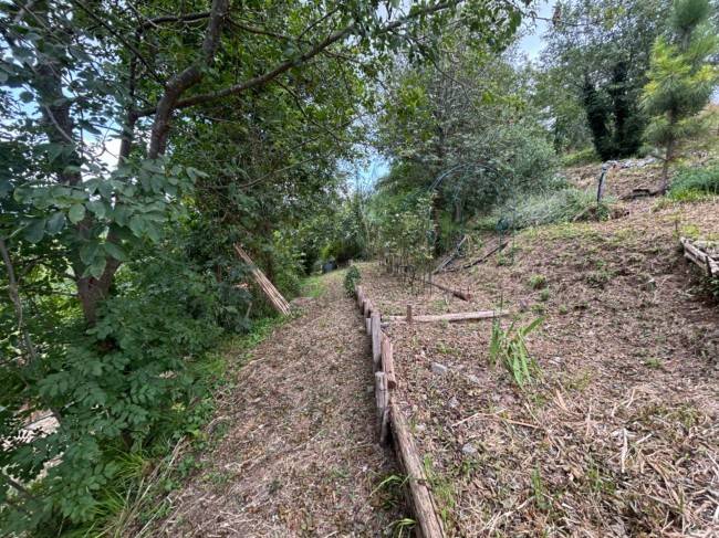 Terreno a Quiliano in Via Capanne, 3 - Foto 3