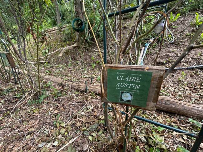 Terreno a Quiliano in Via Capanne, 3 - Foto 5
