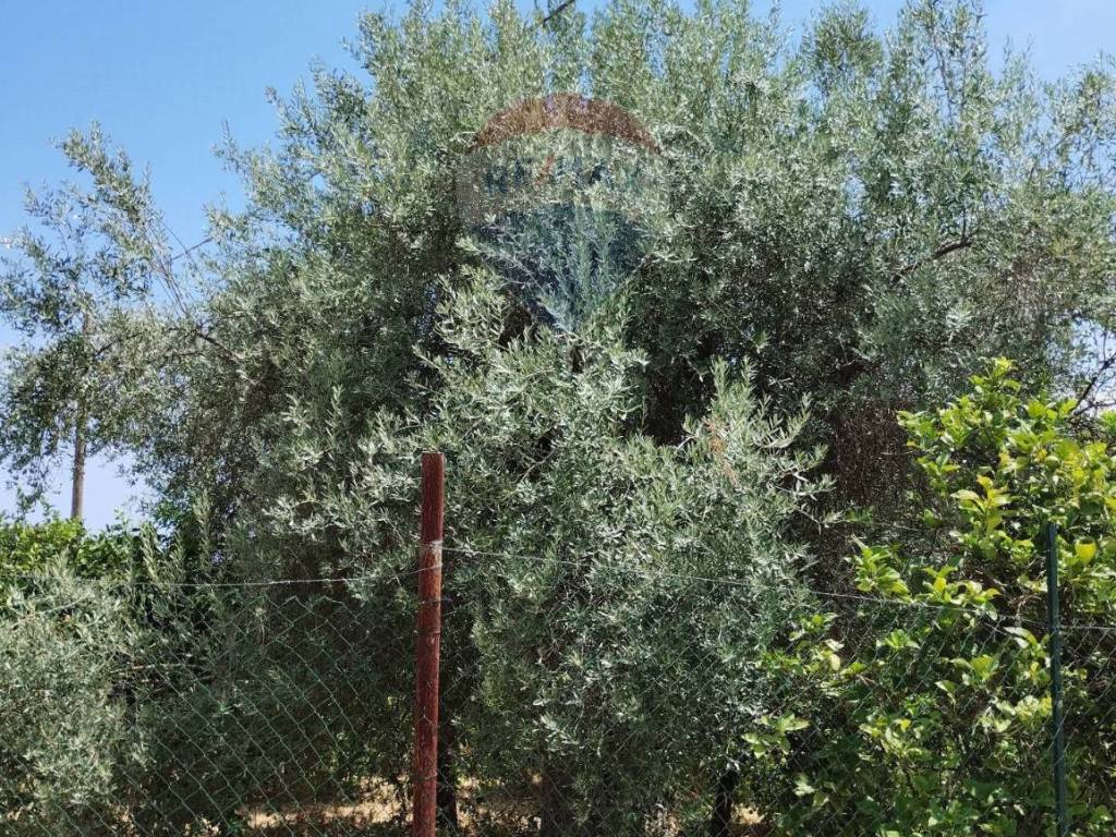 Immobile a Noto in Contrada Busulmone - Foto 5