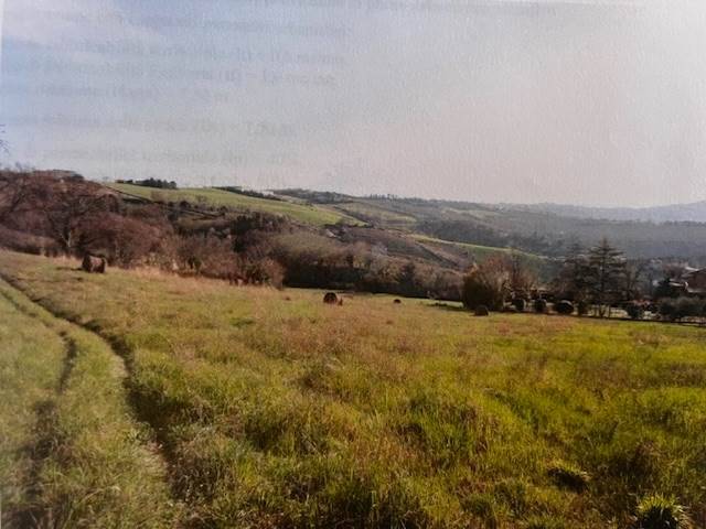 Terreno a Polverigi in VIA DELLA CACCIA - Foto 2
