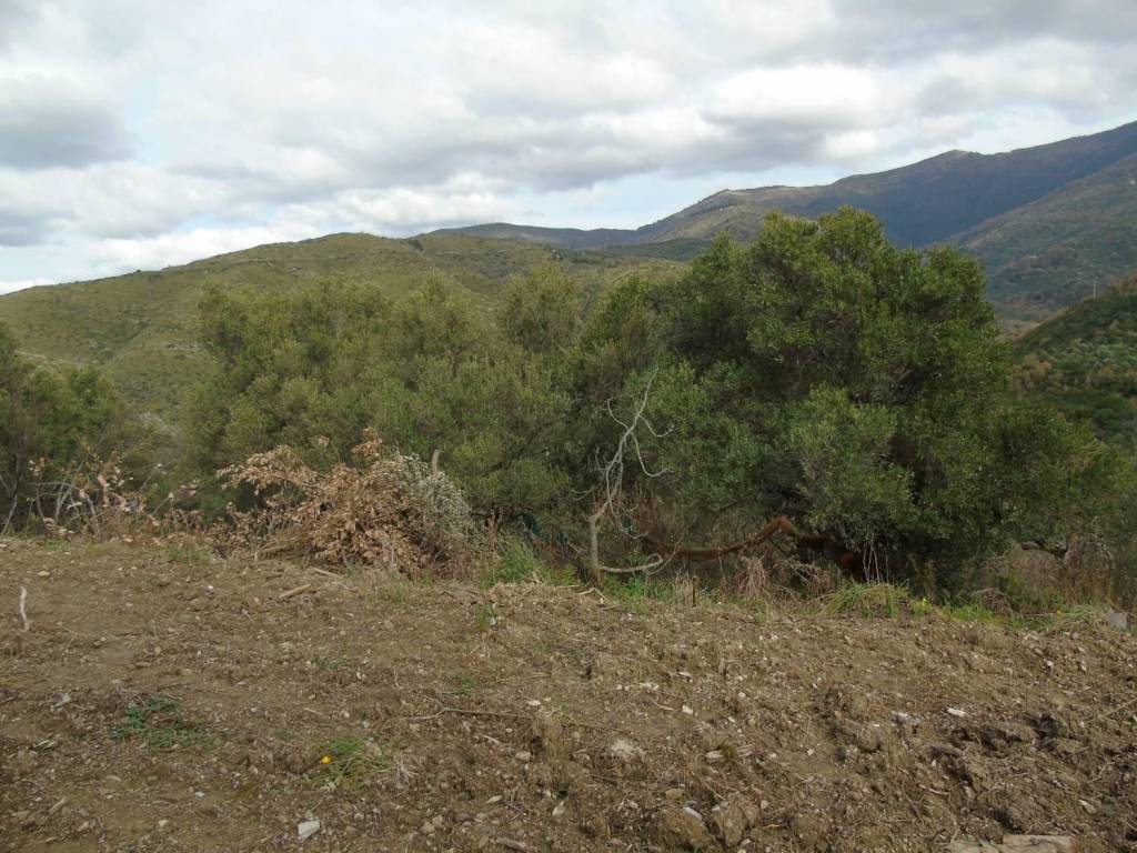 Terreno a San mauro cilento - Foto 3