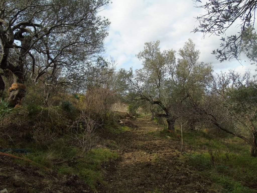 Terreno a San mauro cilento - Foto 5