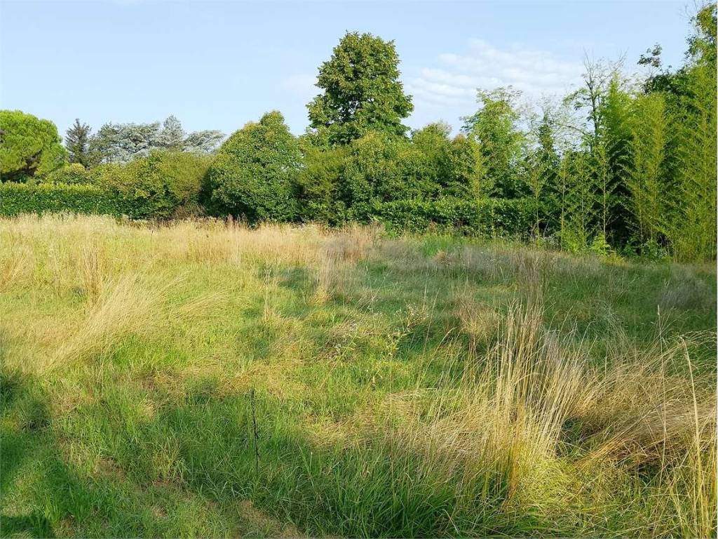 Terreno a Gorizia - Foto 3