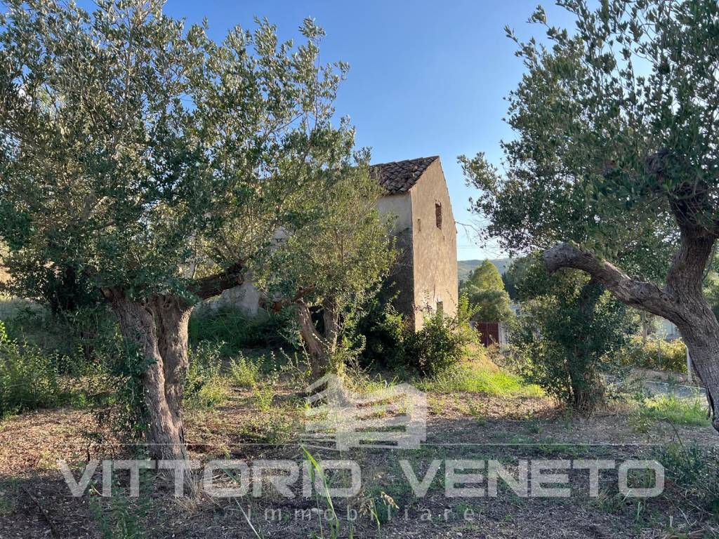 Terreno a Laureana cilento in Contrada San Paolo - Foto 3