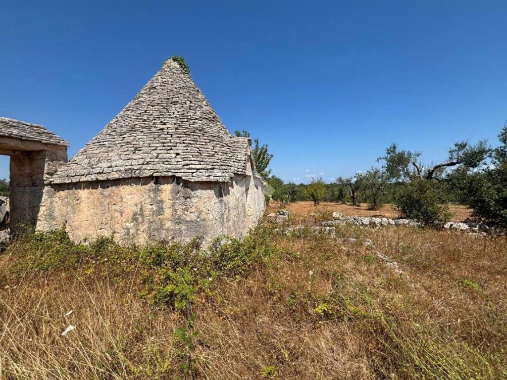Rustico / casale a Alberobello in Contrada Lo Prete, 1 - Foto 5