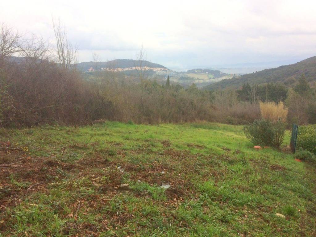 Terreno a Rosignano marittimo in Via Bernardo Buontalenti, - Foto 2