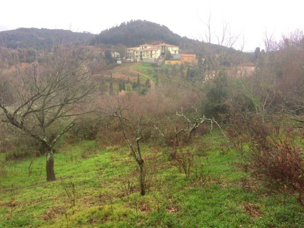 Terreno a Rosignano marittimo in Via Bernardo Buontalenti, - Foto 3