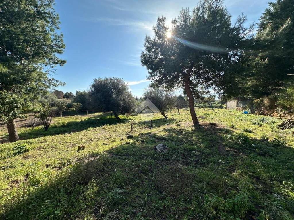Terreno a Bagheria in STRADA VICINALE PRIMO MARINO - Foto 3