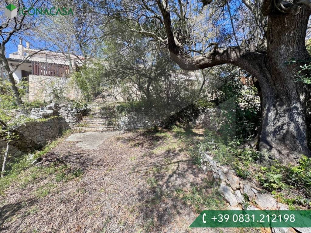 Villa a Ostuni in SP16 - Foto 2