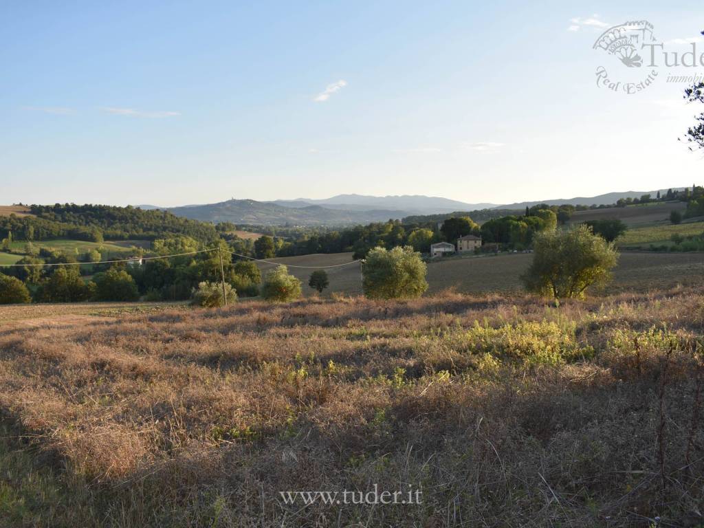Terreno a Todi - Foto 4