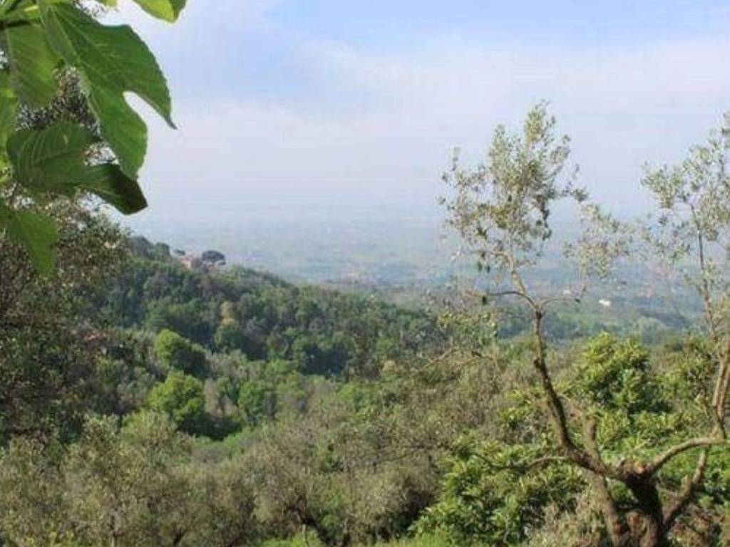 Rustico / casale a Vinci in Via Pistoiese - Foto 2