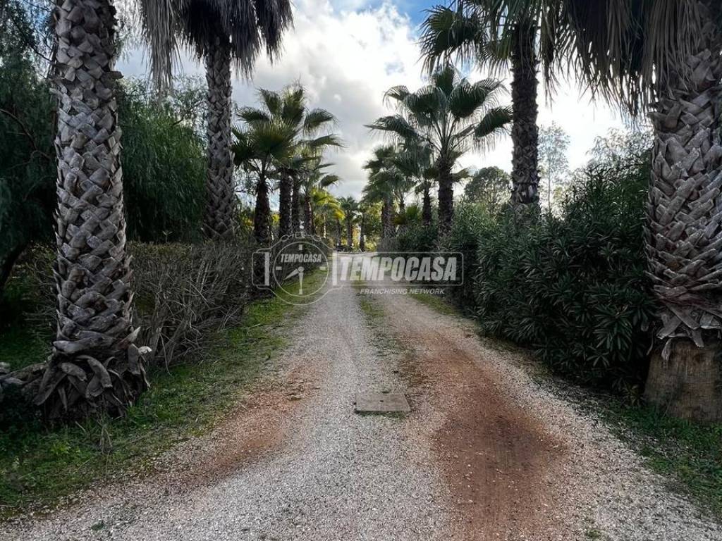 Immobile a Muro leccese in Contrada Baldi 1 - Foto 3