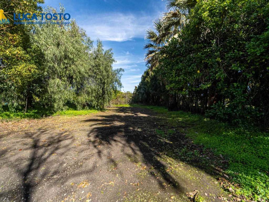 Terreno a Mascali in via carrata, 50 - Foto 2