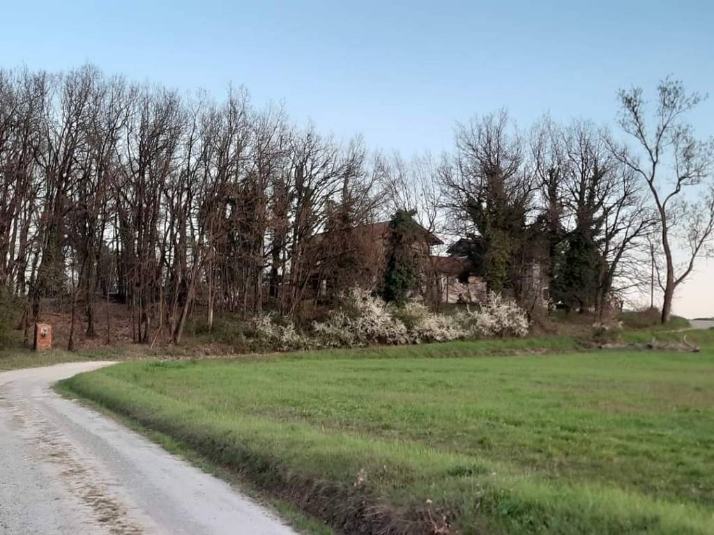 Rustico / casale a Ovada in Strada Novi - Foto 3