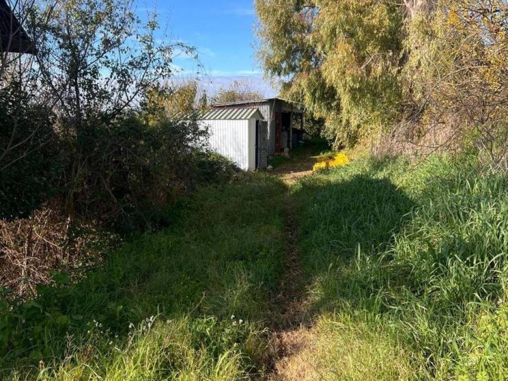 Casa indipendente a Calvi dell'umbria in Casale a Calvi - Foto 4