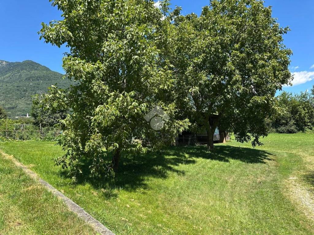 Terreno a Postalesio in Via Spinedi, 1 - Foto 5