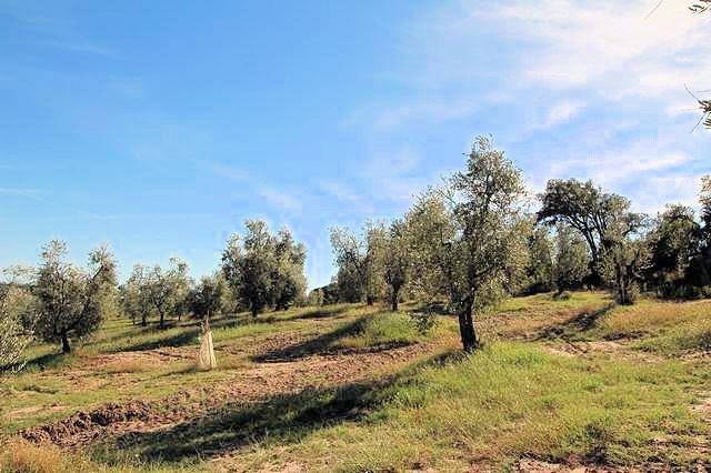 Rustico / casale a Roccastrada - Foto 5