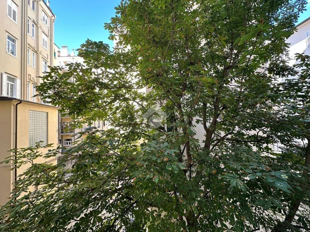 Appartamento a Trieste in Via del Coroneo, 21 - Foto 5