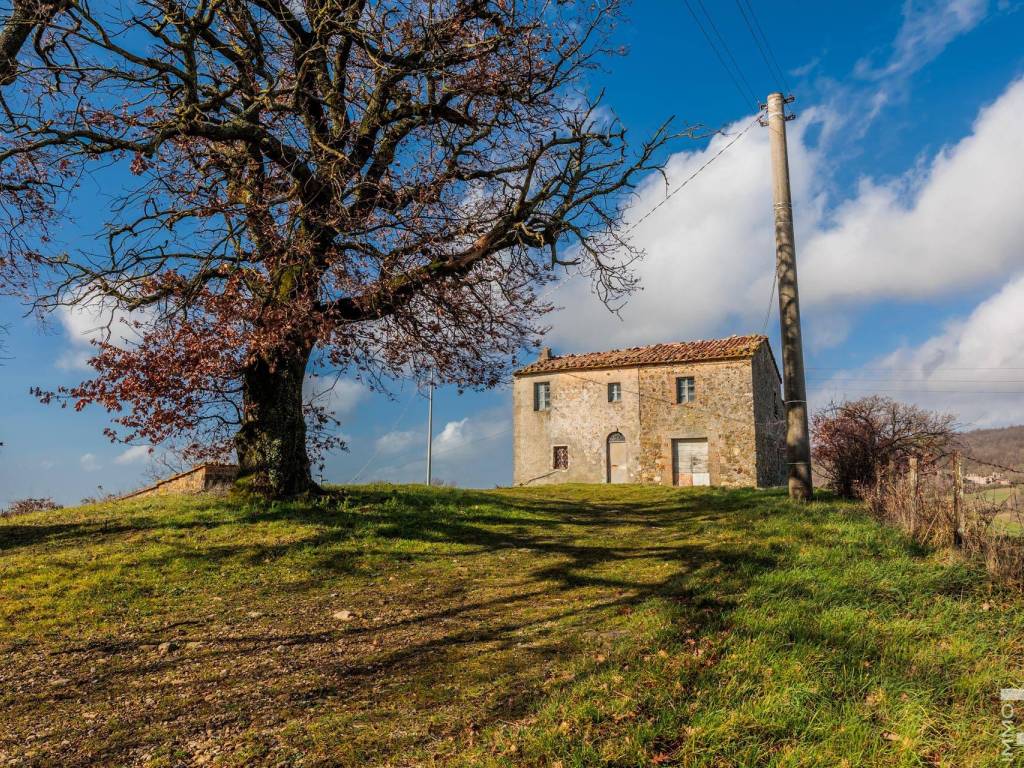 Rustico / casale a Semproniano in Strada Provinciale Sovana - Foto 5