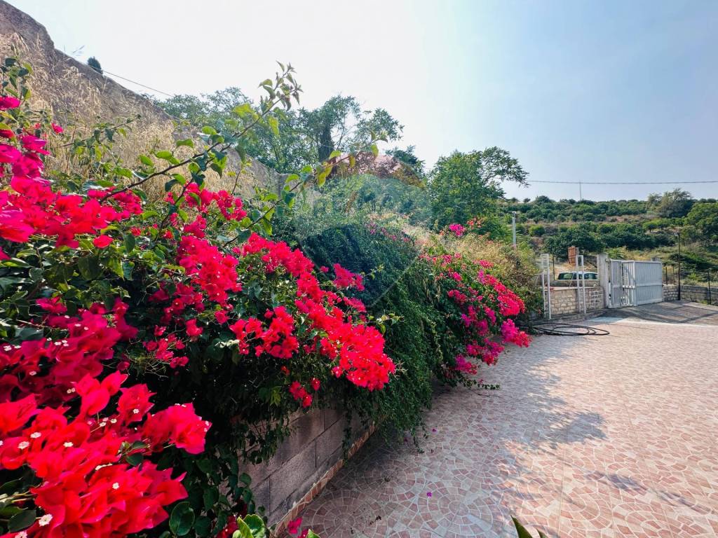 Villa a Francofonte in C.da Passaneto - Foto 5